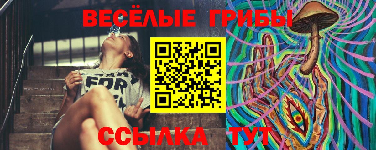 Псилоцибиновые грибы Psilocybine cubensis Черняховск